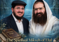 Immersing in the Mikveh of Time: The 960 Hours of Elul and the Spiritual Law of Nullification